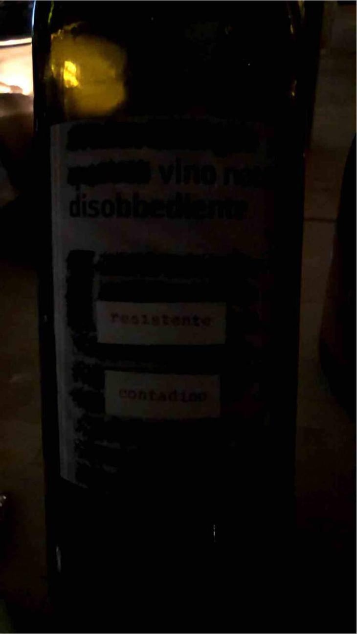 Vino Nato Disobbediente Resistente Contadino - Monte dall'Ora - Alessandra Zantedeschi & Carlo Venturini 