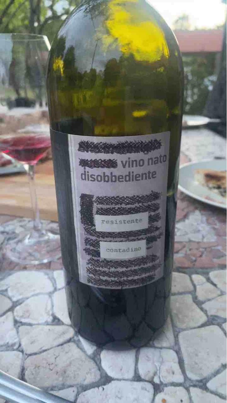Vino Nato Disobbediente Resistente Contadino - Monte dall'Ora - Alessandra Zantedeschi & Carlo Venturini 
