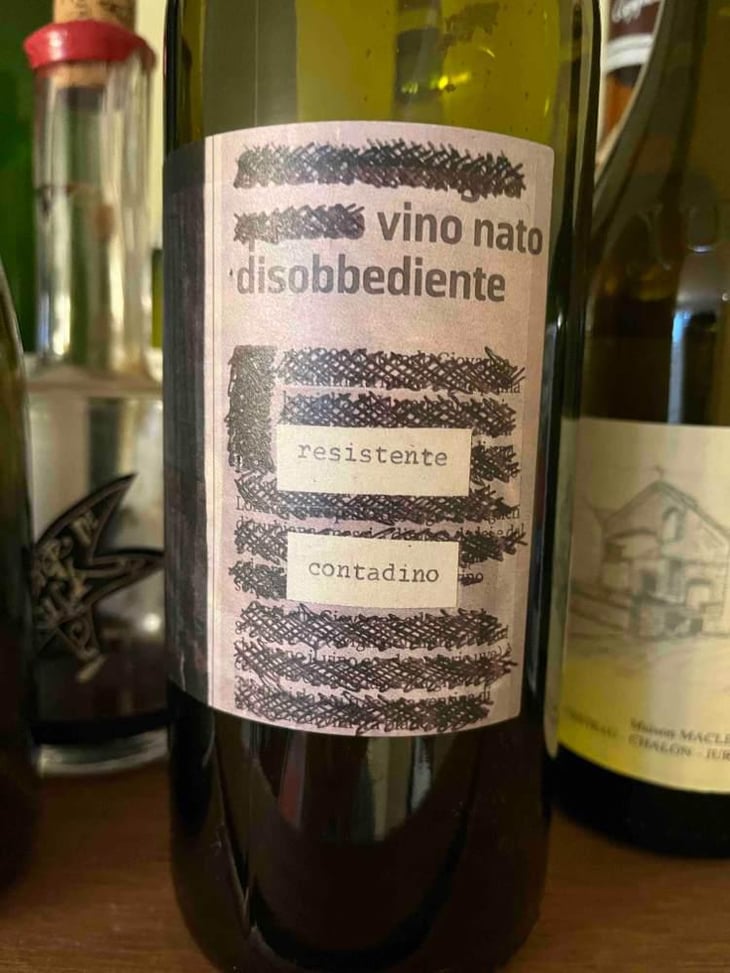 Vino Nato Disobbediente Resistente Contadino - Monte dall'Ora - Alessandra Zantedeschi & Carlo Venturini 