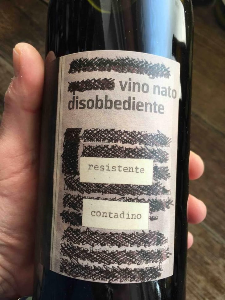 Vino Nato Disobbediente Resistente Contadino - Monte dall'Ora - Alessandra Zantedeschi & Carlo Venturini 