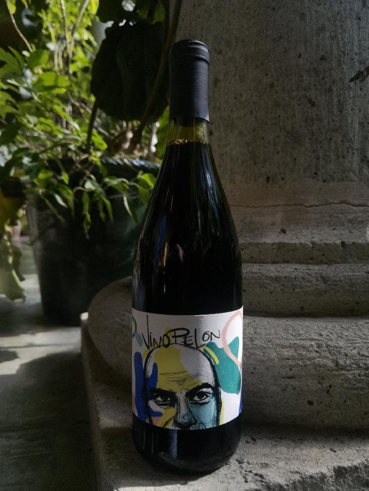 Vino Pelón - Vinos Pijoan - Silvana Pijoan -2020