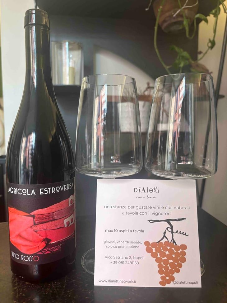 Vino Rosso - Agricola Estroversa - Antonio Santini -2023