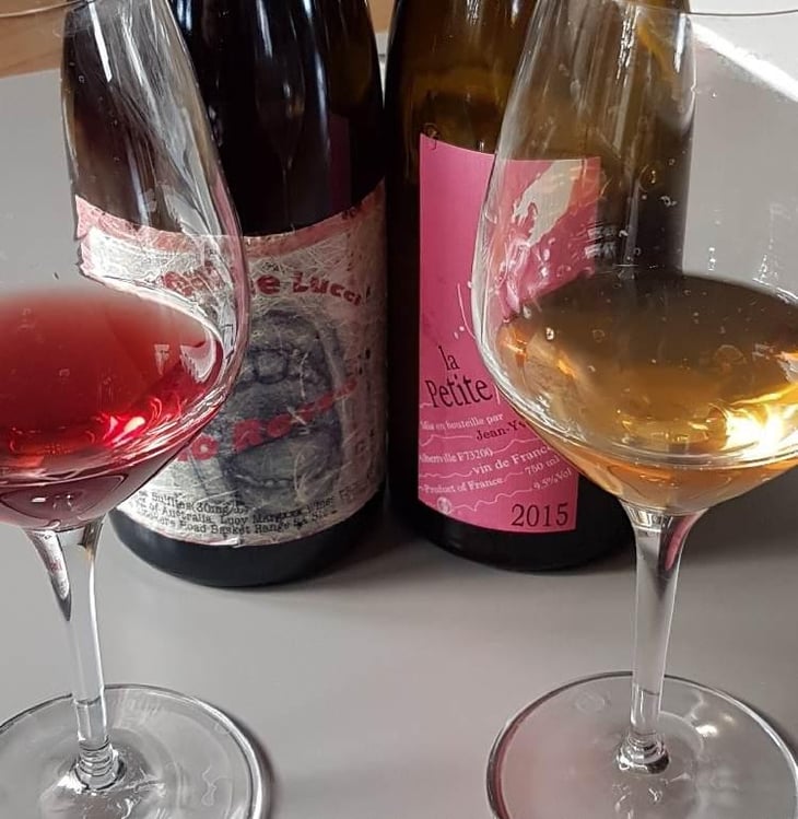 Vino Rosso - Lucy Margaux Vineyards - Anton Van Klopper 