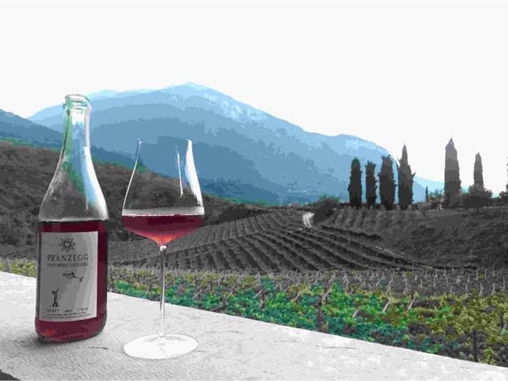 Vino Rosso leggero - Pranzegg - Marion & Martin Gojer 