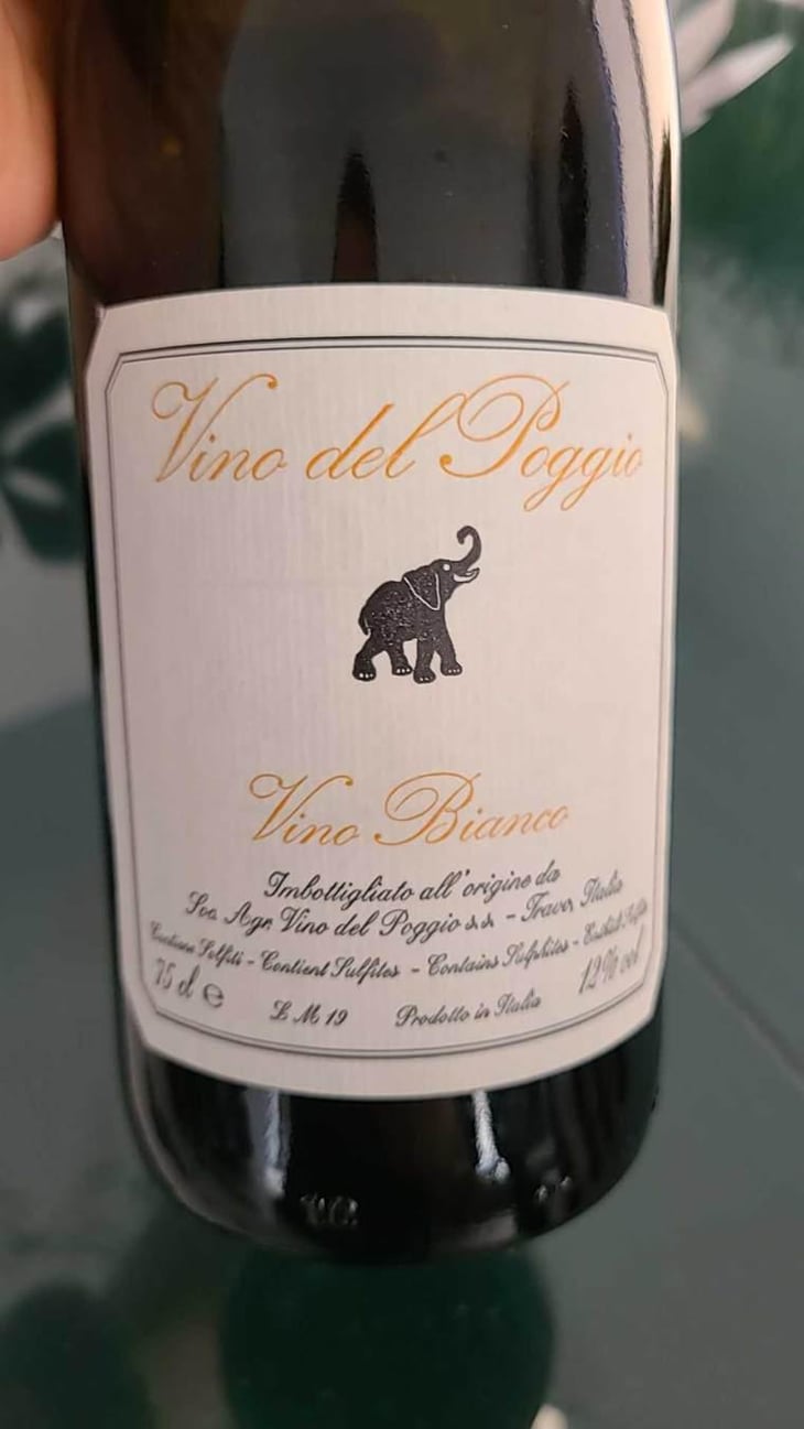 Vino Rosso - Vino del Poggio - Andrea Cervini 