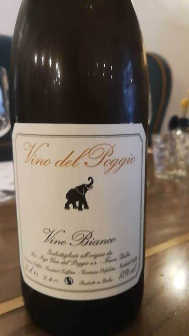 Vino Rosso - Vino del Poggio - Andrea Cervini 