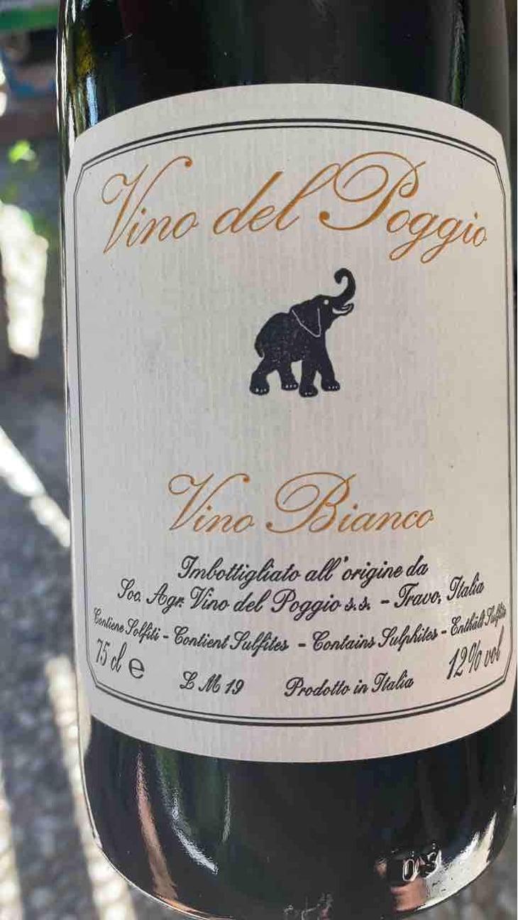 Vino Rosso - Vino del Poggio - Andrea Cervini 