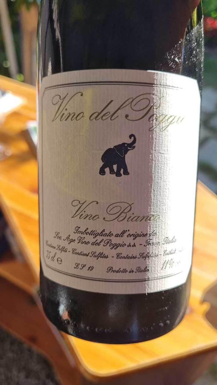 Vino Rosso - Vino del Poggio - Andrea Cervini 