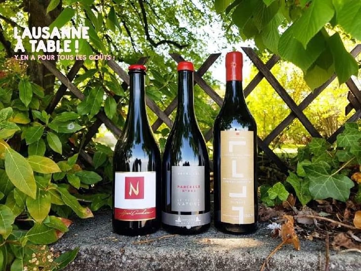 Vins Nature Vaudois -  - 61309
