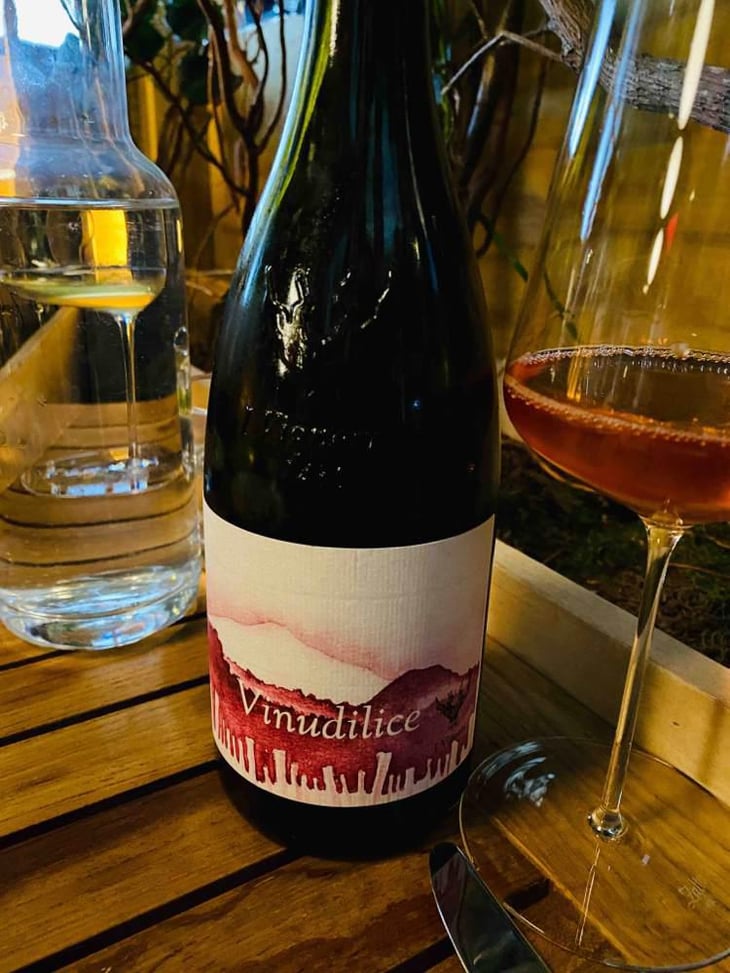 Vinudilice - I Vigneri - Salvo Foti 