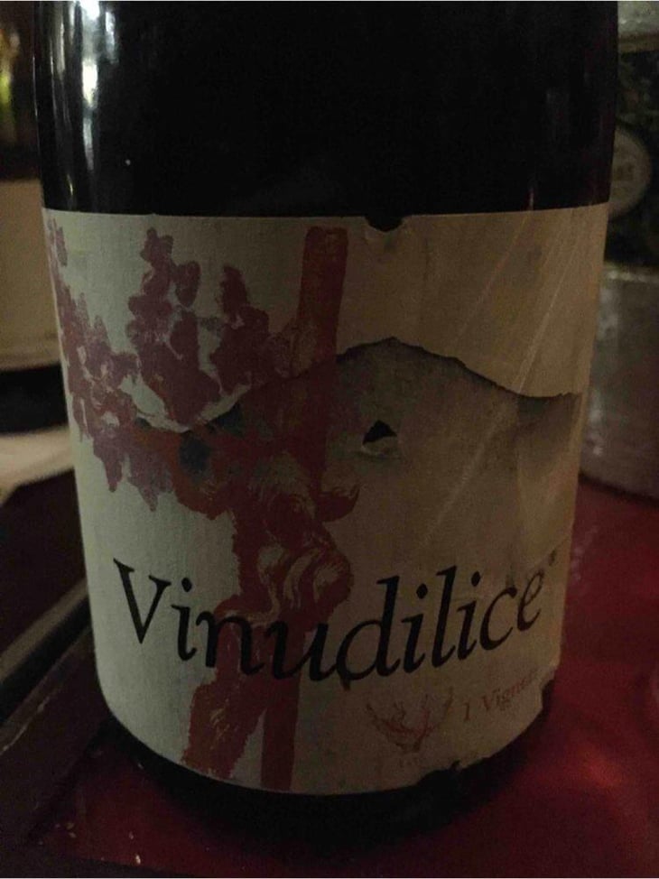 Vinudilice - I Vigneri - Salvo Foti 