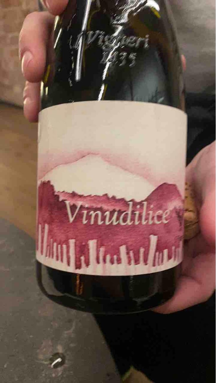 Vinudilice - I Vigneri - Salvo Foti 