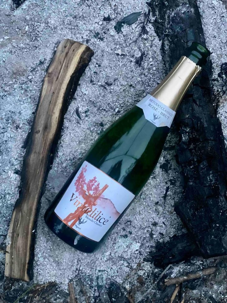 Vinudilice - I Vigneri - Salvo Foti 