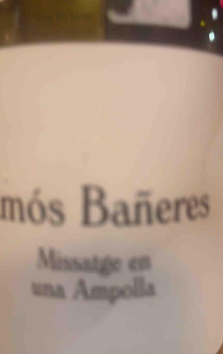 Vinya Oculta - Vinya Oculta - Amós Bañeres 