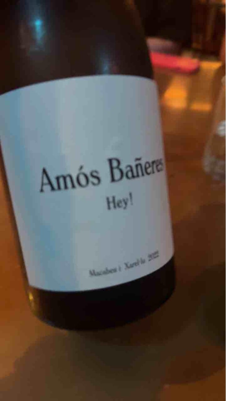 Vinya Oculta - Vinya Oculta - Amós Bañeres 