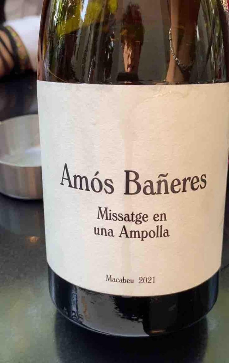 Vinya Oculta - Vinya Oculta - Amós Bañeres 