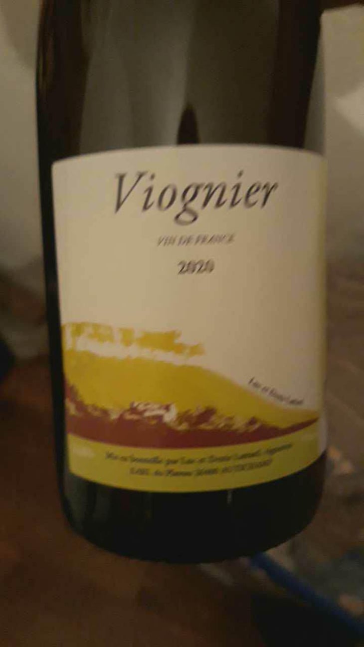 Viognier - Domaine Lattard - Denis Lattard 