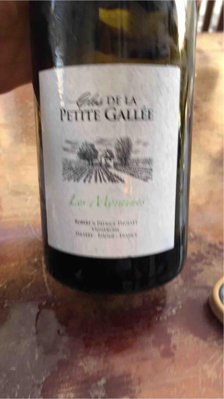 Viognier - La Petite Gallée - Robert & Patrice Thollet 