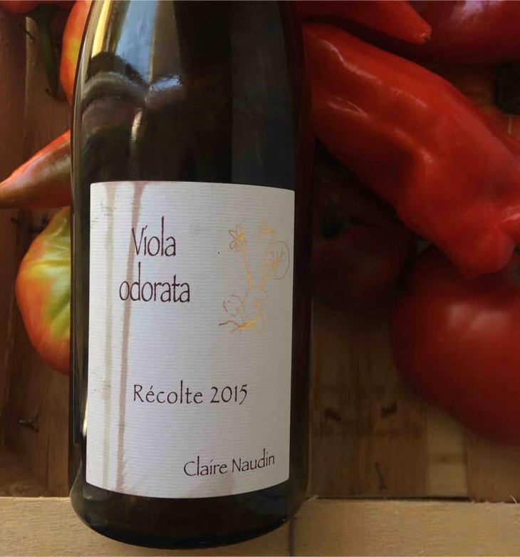Viola Odorata - Domaine Henri Naudin-Ferrand - Claire Naudin 