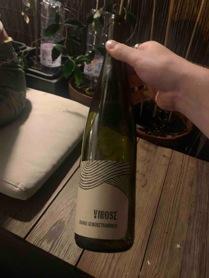 Virose - Léo Dirringer - Léo Dirringer 