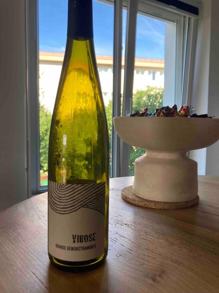 Virose - Léo Dirringer - Léo Dirringer 