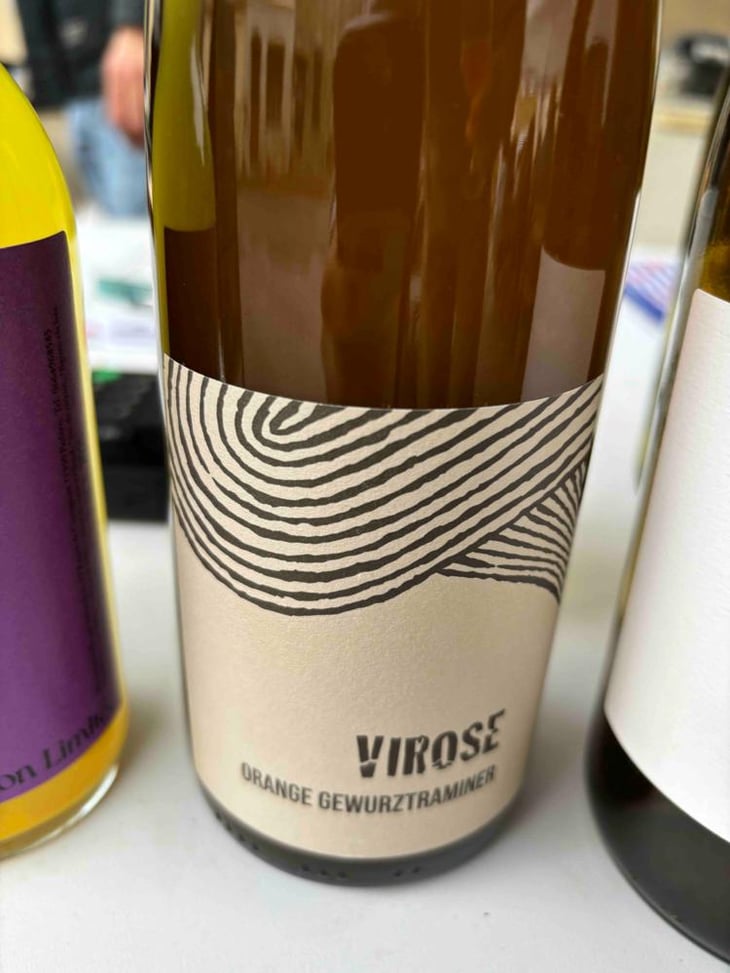 Virose - Léo Dirringer - Léo Dirringer 