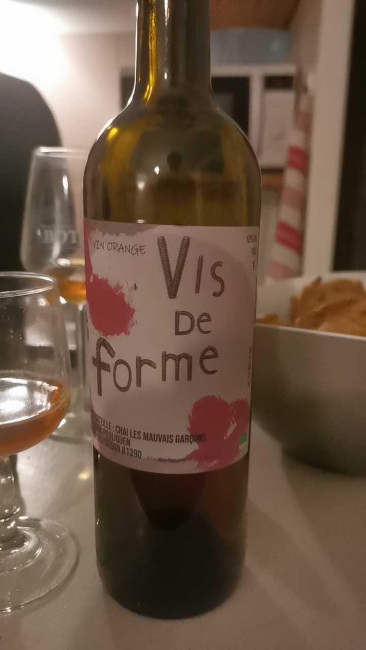 Vis de Forme - Chai les Mauvais Garçons - Florian Houard et Romaric Pouliquen 