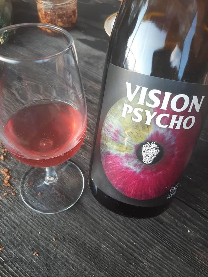 Vision Psycho - No Control - Vincent Marie -2020