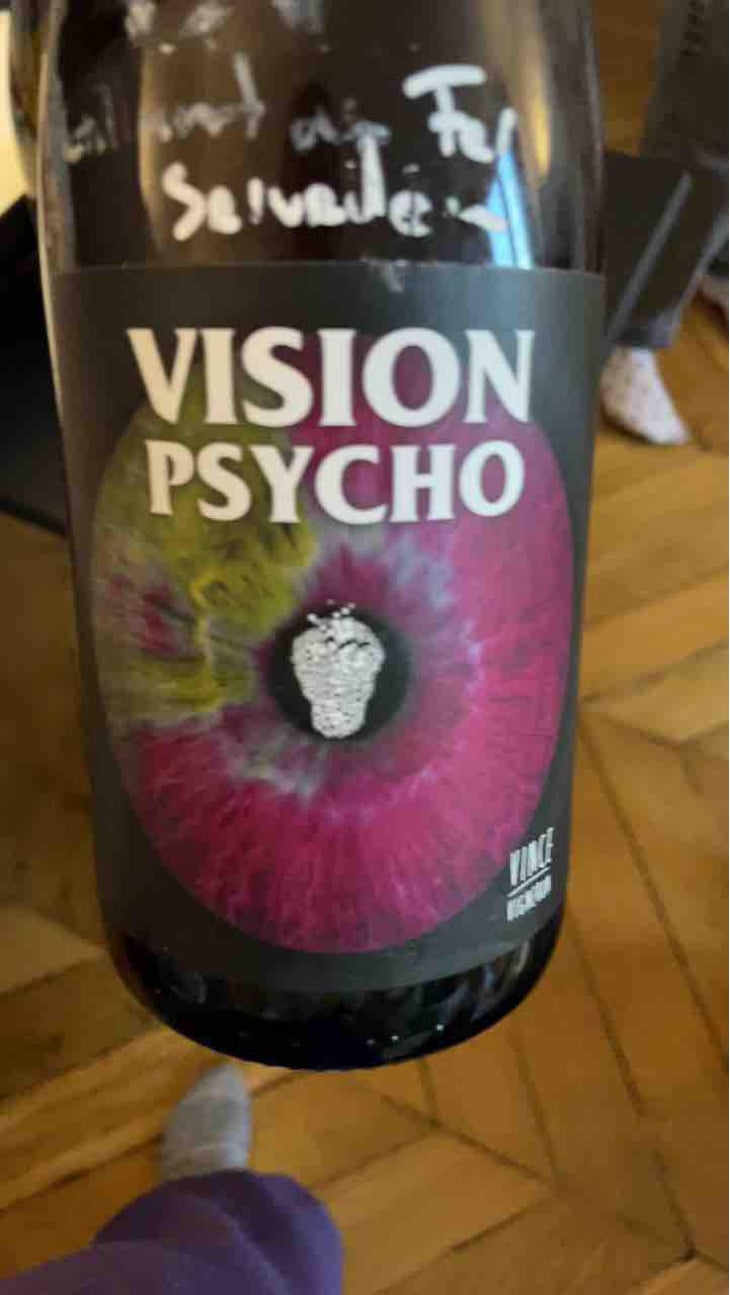 Vision Psycho - No Control - Vincent Marie -2020