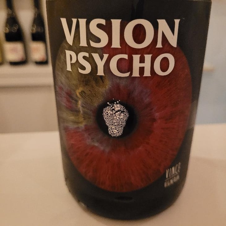 Vision Psycho - No Control - Vincent Marie -2020
