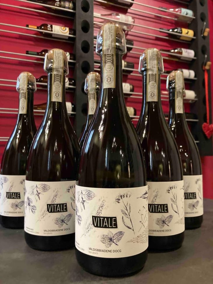 Vitale - Malga Ribelle - Vitale Girardi -2022