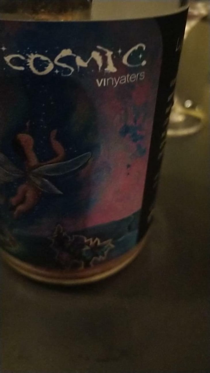 Vitalitat - Còsmic Vinyaters - Salvador Batlle Barrabeig 