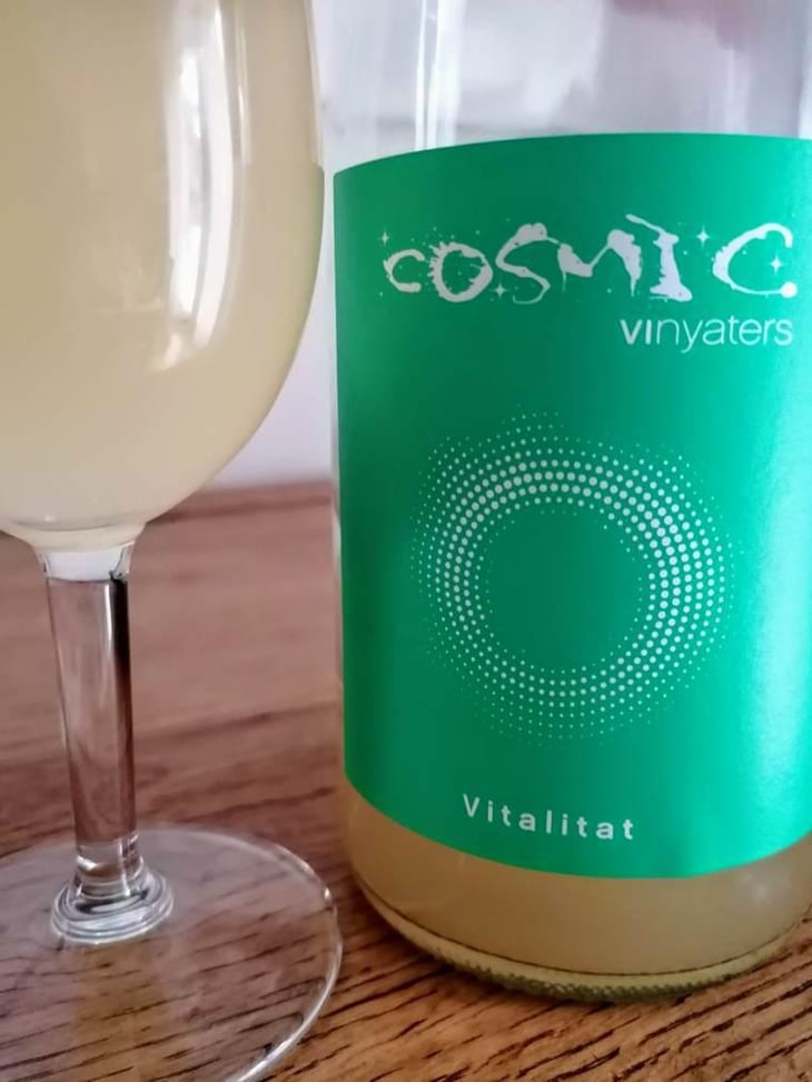 Vitalitat - Còsmic Vinyaters - Salvador Batlle Barrabeig 
