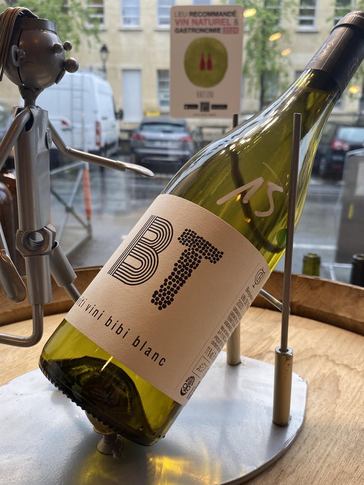 Viti Vini Bibi - Domaine Benjamin Taillandier - Benjamin Taillandier 