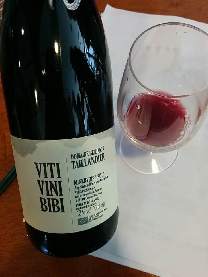 Viti Vini Bibi - Domaine Benjamin Taillandier - Benjamin Taillandier 