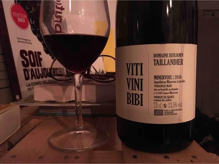 Viti Vini Bibi - Domaine Benjamin Taillandier - Benjamin Taillandier 