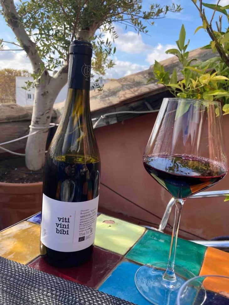 Viti Vini Bibi - Domaine Benjamin Taillandier - Benjamin Taillandier 