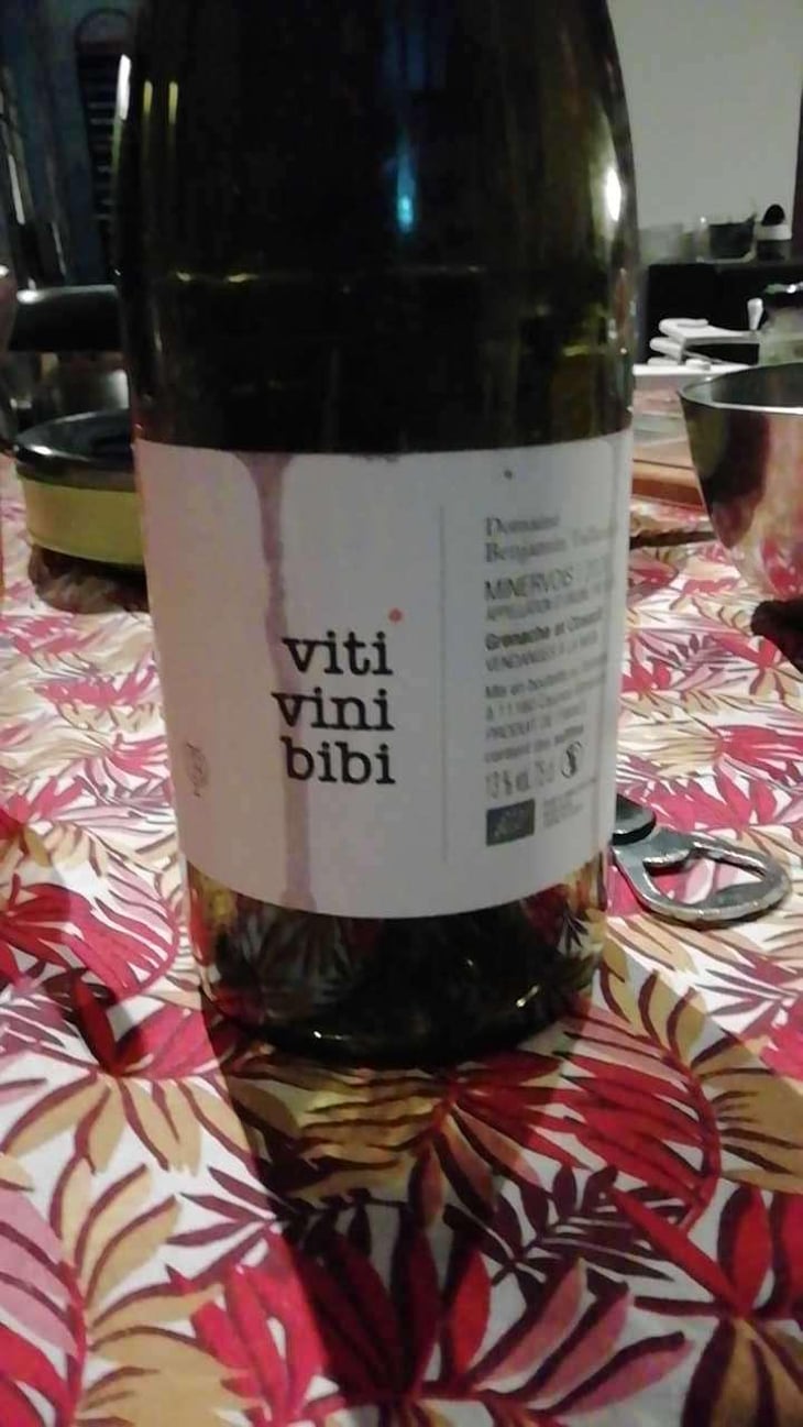 Viti Vini Bibi - Domaine Benjamin Taillandier - Benjamin Taillandier 