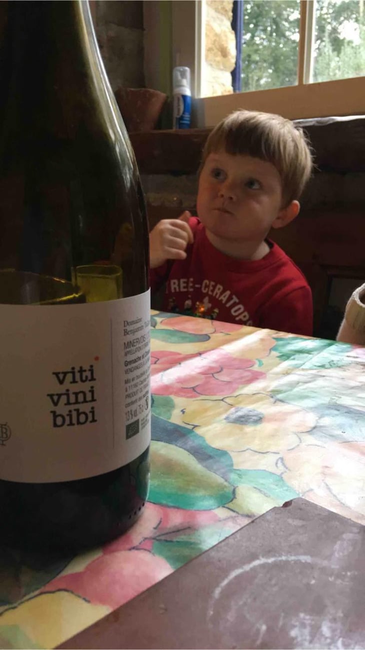 Viti Vini Bibi - Domaine Benjamin Taillandier - Benjamin Taillandier 