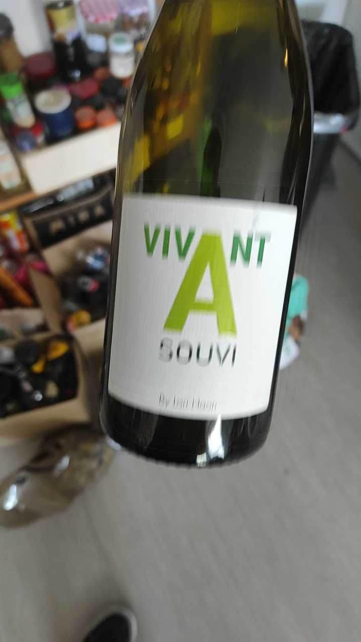 Vivant souvi - Domaine du Petit Oratoire - Lori Haon 