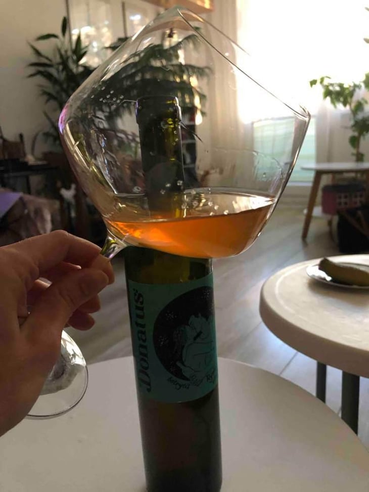 Ryzlink vlassky Botrytis - Donatus z Božic - Josef Leisser, Peter Michalík & Eliška Leisserová 