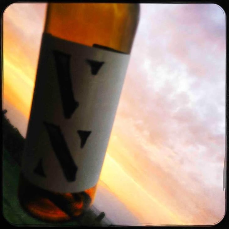 VN Vinel-lo Blanco - Partida Creus - Massimo Marchiori & Antonella Gerosa 