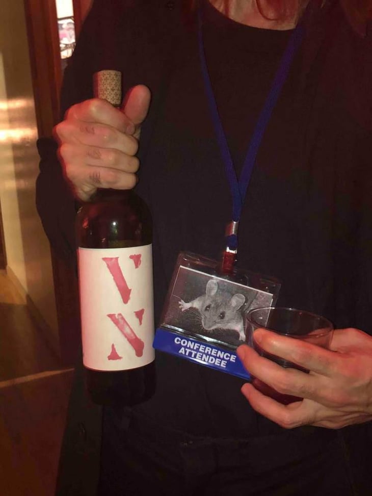 VN Vinel-lo Rojo - Partida Creus - Massimo Marchiori & Antonella Gerosa 