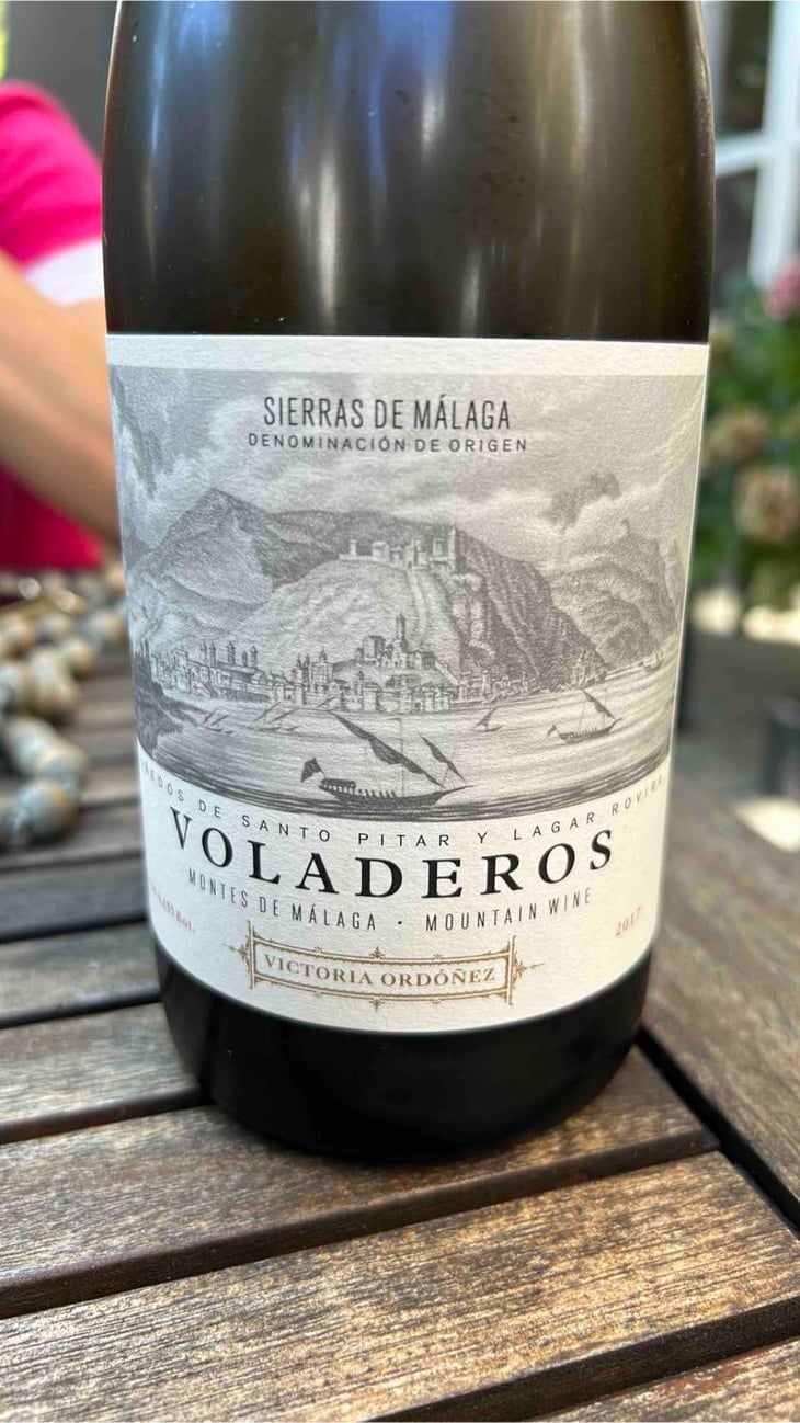 Voladeros - www.victoriaorfonez.com - Victoria Ordoñez -2017