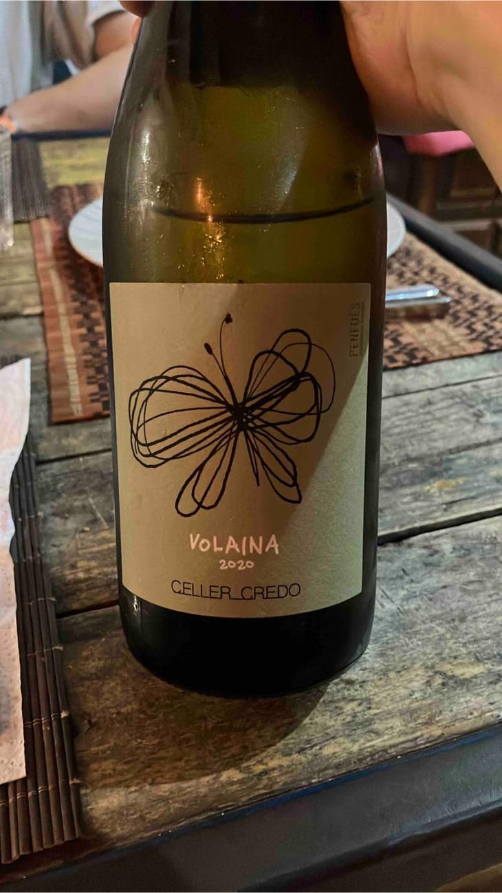 Volaina - Celler Credo - Ton Mata Moliner -2018