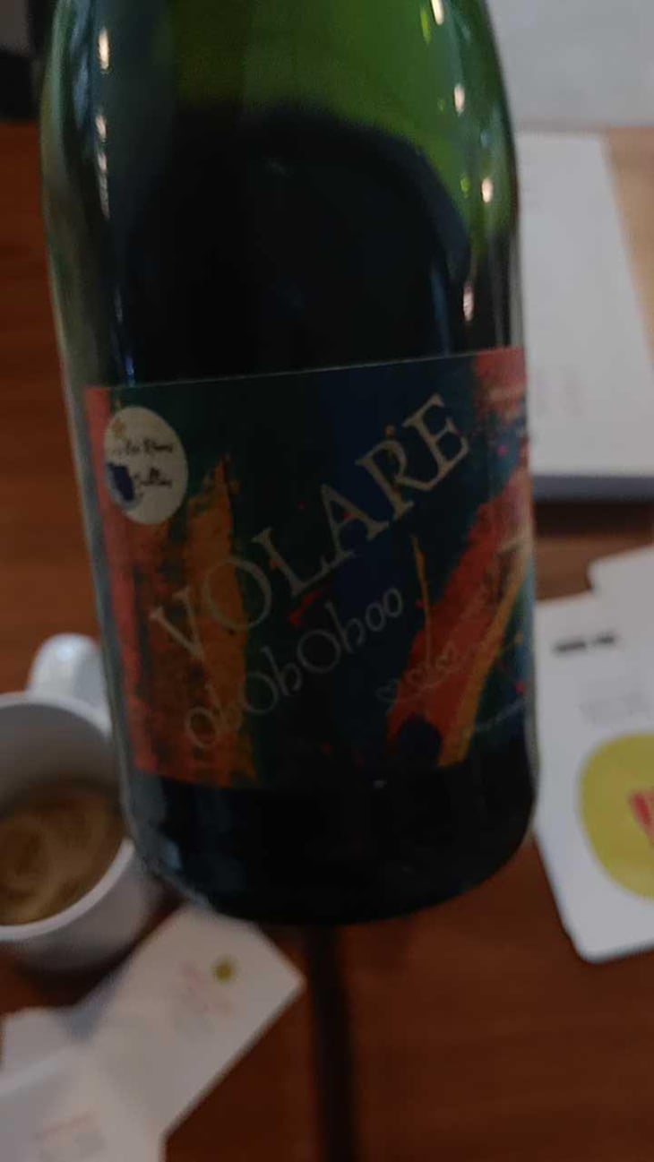Volare - Les Rêves Oubliés - Nadia Beaune -2019