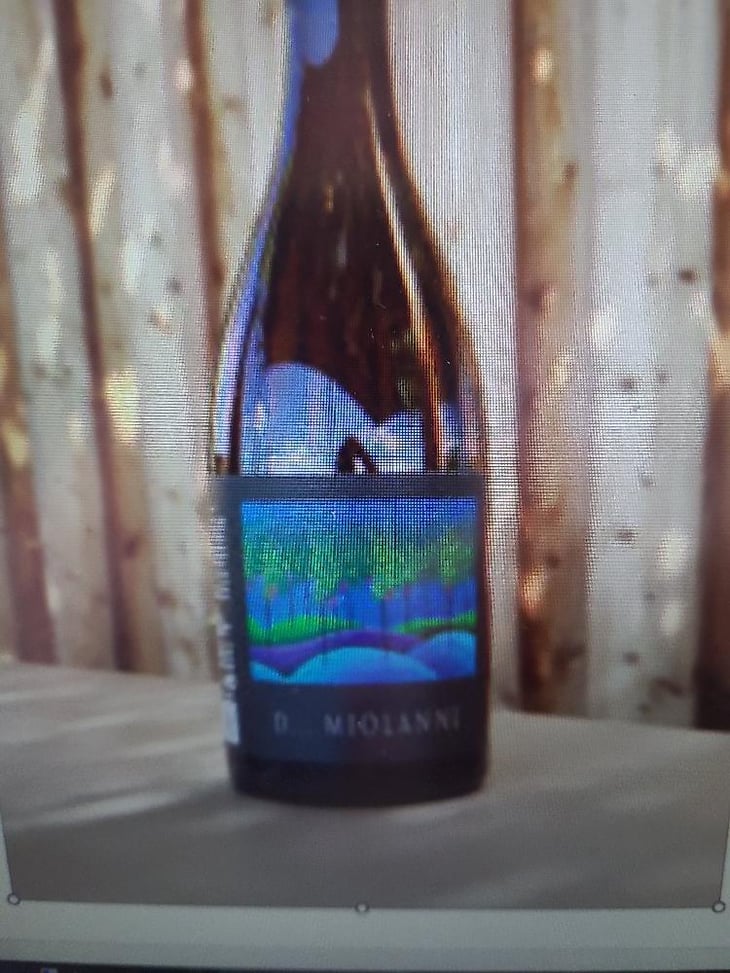 Volcane Blanc 2020 - Domaine Miolanne - Jean-Baptiste Deroche & Laure Cartier 