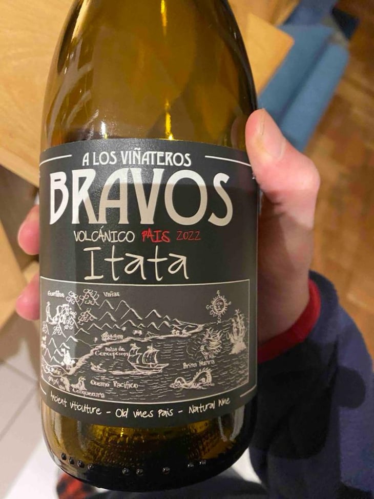Volcánico País - A Los Viñateros Bravos / Onda Brava - Leonardo Erazo 
