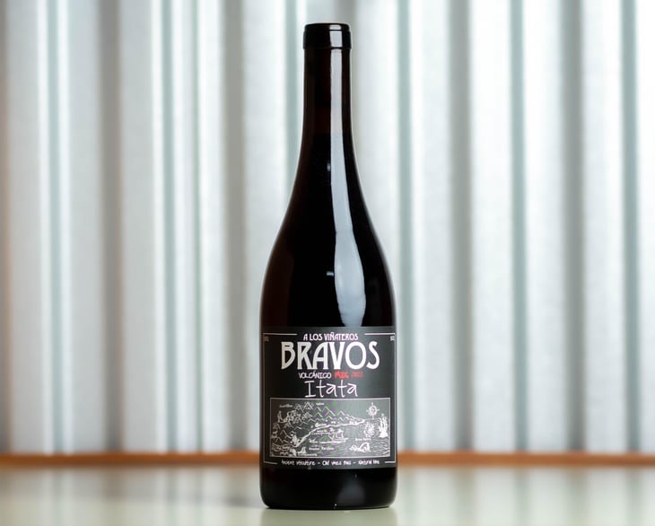 Volcánico País - A Los Viñateros Bravos / Onda Brava - Leonardo Erazo 