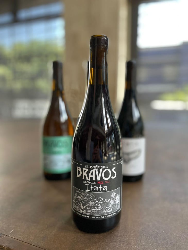 Volcánico País - A Los Viñateros Bravos / Onda Brava - Leonardo Erazo 